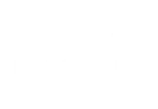 z8 formuler